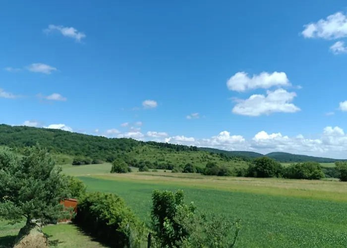 Vad-Lak Vendeghaz